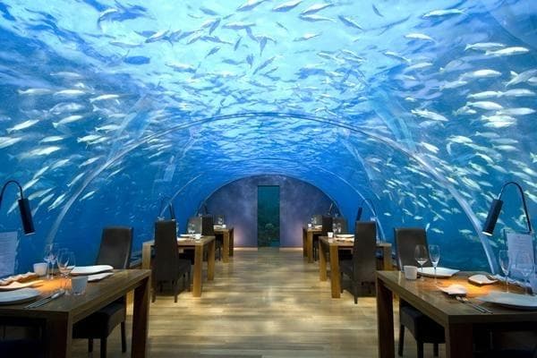 Ithaa Undersea Restaurant in Maldives