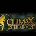 Climax Entertainment on Random Current Top Japanese Game Developers
