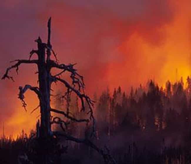 Image result for worst wildfire