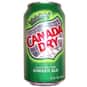 Canada Dry Ginger Ale is listed (or ranked) 10 on the list The Best Sodas of All Time