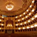 São Carlos Opera House on Random Best Opera Houses in the World