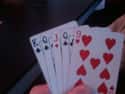 Screw The Dealer on Random Most Popular & Fun Card Games