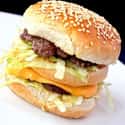 McDonald's Big Mac on Random Best Fast Food Burgers
