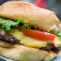 Shake Shack ShackBurger on Random Best Fast Food Burgers