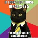 Business Cat on Consequences on Random  Best Business Cat Memes