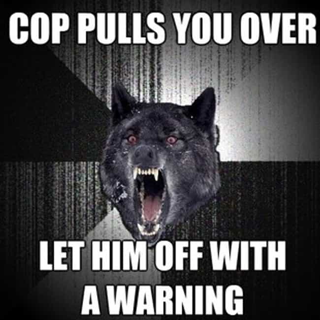insanity-wolf-gets-pulled-over-photo-u1