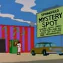 Springfield Mystery Spot on Random Best Attractions to Visit in Springfield