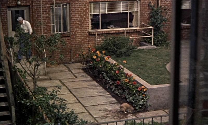 The 15 Best Quotes From 'Rear Window' (1954)