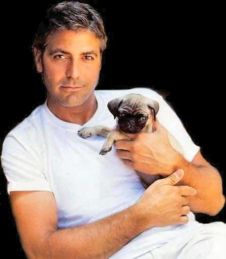 Shirtless George Clooney Hot Pics Photos And Images