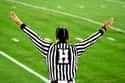 Professional Referee on Random Rarest Jobs In America