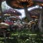 Wonderland is listed (or ranked) 5 on the list The Best Fantasy Worlds