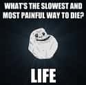 The Slowest, Most Painful Way to Die on Random Best Forever Alone Memes
