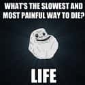 The Slowest, Most Painful Way to Die on Random Best Forever Alone Memes