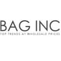 baginc.com on Random Best Designer Handbags Onlin