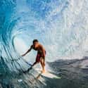 realsurf.com on Random Best Surf Gear Websites
