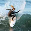 jackssurfboards.com on Random Best Surf Gear Websites