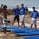 wavessurfschool.com on Random Best Surf Gear Websites