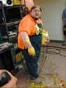 The Guy Who Dropped the Mustard on Random Most Epic Fat Guys In Internet History