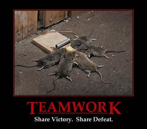 teamwork-photo-u1