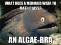 Bad Joke Eel on Mermaid Attire on Random Very Best of the Bad Joke Eel Meme