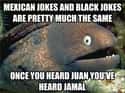 Bad Joke Eel Loves Ethnic Jokes on Random Very Best of the Bad Joke Eel Meme