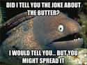 Bad Joke Eel on Giving Away Jokes on Random Very Best of the Bad Joke Eel Meme