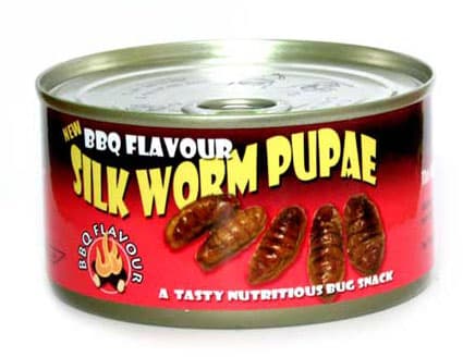 Canned Silkworm Pupae is listed (or ranked) 5 on the list The Most Disgusting Canned Foods
