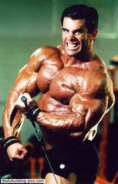 Hot Male Bodybuilders List of Sexy
