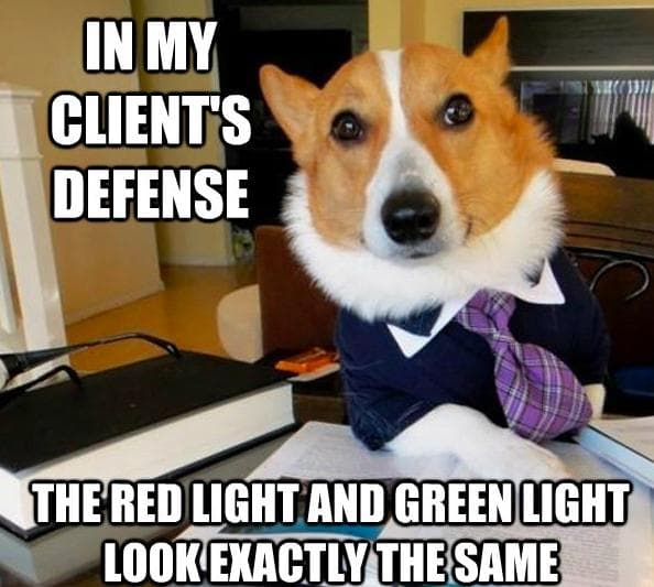 Random Very Best Lawyer Dog Meme