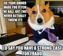 On Fake Outs During Fetch on Random Very Best Lawyer Dog Meme