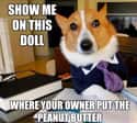 On Horrible Owners on Random Very Best Lawyer Dog Meme