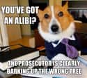 On Bad Puns on Random Very Best Lawyer Dog Meme