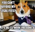 On Legal Fees on Random Very Best Lawyer Dog Meme