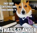 On Technicalities on Random Very Best Lawyer Dog Meme