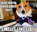 On Odor Identity on Random Very Best Lawyer Dog Meme