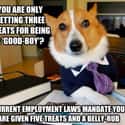 On Minimum Wage on Random Very Best Lawyer Dog Meme