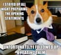 On Eating Homework on Random Very Best Lawyer Dog Meme