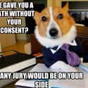 On the Tyranny of Baths on Random Very Best Lawyer Dog Meme