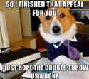 On Hope on Random Very Best Lawyer Dog Meme