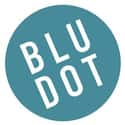 bludot.com on Random Top Home Decor and Furniture Websites