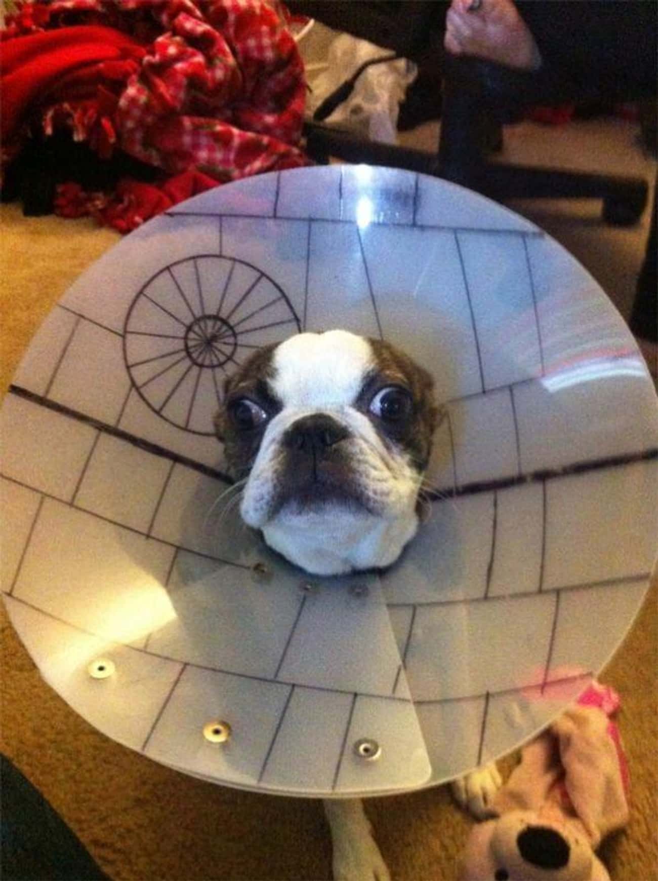 That's No Moon... That's A Cone
