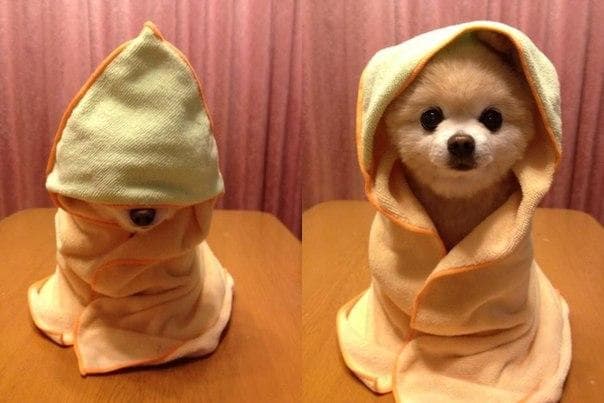 Learning You Are, Young Padawan