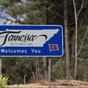 Are you from Tennessee? on Random Funniest Pick-Up Lines