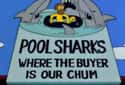 Pool Sharks on Random Funniest Business Names On 'The Simpsons'