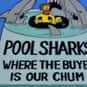 Pool Sharks is listed (or ranked) 25 on the list The Funniest Business Names in The Simpsons