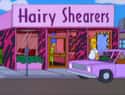 Hairy Shearers on Random Funniest Business Names On 'The Simpsons'