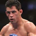 Dominick Cruz on Random Best MMA Fighters from The United States