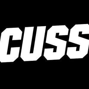 Cuss about another is listed (or ranked) 10 on the list Weird Laws in Virginia