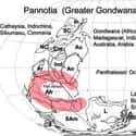 Pannotia on Random Earth's Known SuperContinents