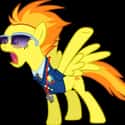 Spitfire on Random Best My Little Pony: Friendship Is Magic Characters